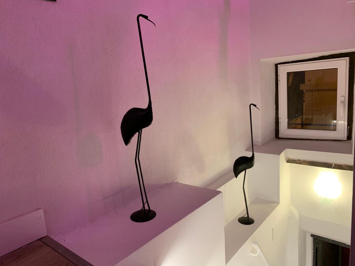 Casita Del Flamingo En Casco Historico Villa Аликанте Екстериор снимка